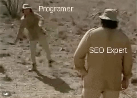 SEO exprert vs programmer